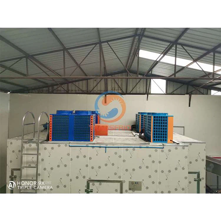 Belt Type Vegetable Drying Machine