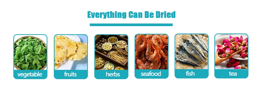 -EN-1.3.png -EN-1.3.png