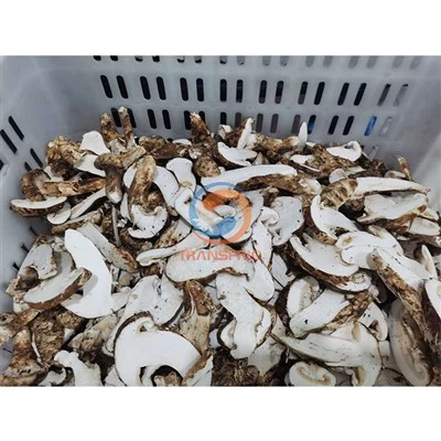 خط تجفيف الفطريات